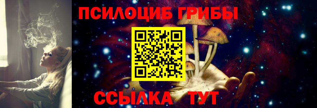 купить наркоту  Галлюциногенные грибы Magic Shrooms  Вход с VPN  Ярцево 