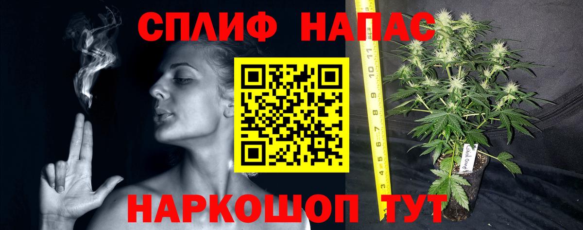 Ярцево  Канабис Amnesia  Бошки марихуана THC 21%  МАРИХУАНА марихуана  Вход с VPN 
